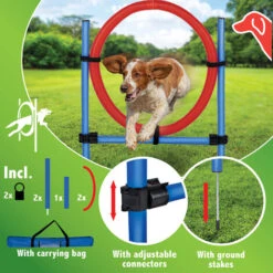 Anello Di Salto Per Cani Agility Dog Addestramento Cani Ostacoli Con Borsa -Cibi per cani in Italia 90482223 4