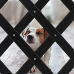 Relaxdays Cancelletto Di Sicurezza Per Cani, Recinzione Allungabile Fino A 108,5 Cm, Alto 47,5-60 Cm, In Bambù, Nero -Cibi per cani in Italia 90868977 5