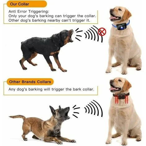 Collare Di Controllo Per Cani, Collare Di Addestramento Automatico Per Cani Con Modalità Suono/vibrazione/shock, 7 Livelli Di Sensibilità, Ricaricabile E Impermeabile Per Cani Di Taglia Piccola, Media 6 Collare Di Controllo Per Cani, Collare Di Addestramento Automatico Per Cani Con Modalità Suono/vibrazione/shock, 7 Livelli Di Sensibilità, Ricaricabile E Impermeabile Per Cani Di Taglia Piccola, Media - immagine 4