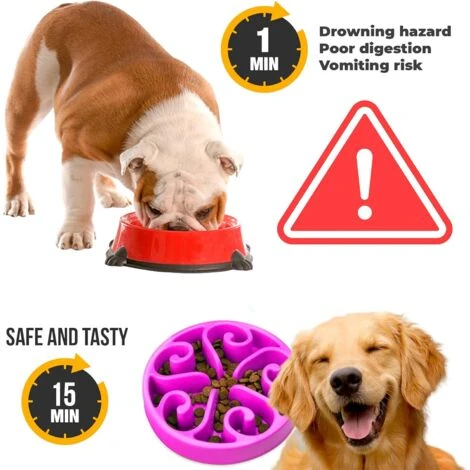 Ciotola Anti Glutton Per Gatti O Cani, Vassoio Interattivo Per Evitare L'Ansia, Per Animali Di Piccola, Media E Grande Taglia (Viola) 4 Ciotola Anti Glutton Per Gatti O Cani, Vassoio Interattivo Per Evitare L'Ansia, Per Animali Di Piccola, Media E Grande Taglia (Viola) - immagine 2