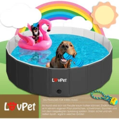 LOVPET® Piscina Per Cani Pieghevole Per Cani Grandi E Piccoli - Incluso Giocattolo Per Cani - Piscina Da Esterni Per Cani Pieghevole Per Bambini E Cani - Vasca Da Bagno Per Cani (S) 80cm Ø (de), Anthr -Cibi per cani in Italia 91949650 3
