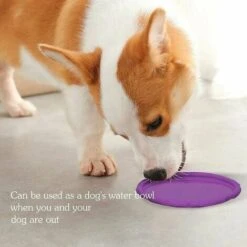 Frisbee Per Cani, Confezione Da 2 Dischi Volanti Galleggianti Per Cani In Gomma Naturale Da 7 Pollici Per Terra E Acqua (verde + Viola) -Cibi per cani in Italia 92034142 5