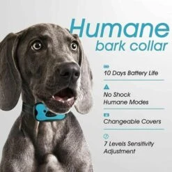 Collare Antiabbaio Per Cani Ricaricabile Automatico, Collare Da Addestramento Con Rumore/vibrazione Antiurto, 7 Livelli Di Sensibilità Per Cani Di Taglia Media - Blu -Cibi per cani in Italia 92051164 3