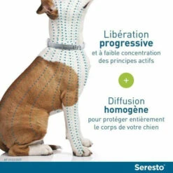 Collare Antipulci E Antizecche Per Cani +8 Kg 1 Unità -Cibi per cani in Italia 92922780 3