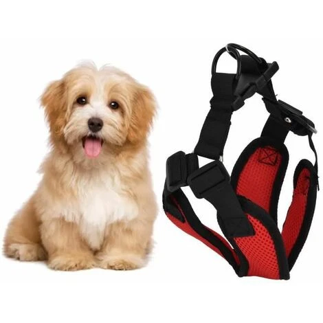 None Gilet Comfort Pet Rosso S 4 None Gilet Comfort Pet Rosso S - immagine 2