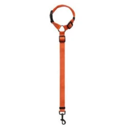 None Imbracatura Per Cintura Di Sicurezza Per Cani Regolabile