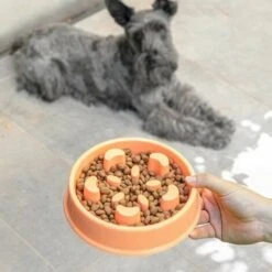 None Ciotola Arancione Anti Bulimia 20,5 X 5 Cm -Cibi per cani in Italia 92956930 3