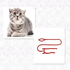 None Cintura Di Sicurezza Rossa 1,20 M Rossa -Cibi per cani in Italia 92957025 3