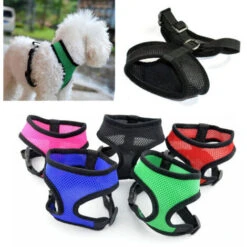 None Collare Per Cuccioli In Rete Di Nylon Rosso