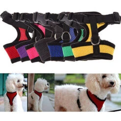 None Collare Per Cuccioli In Rete Di Nylon Rosso -Cibi per cani in Italia 92957176 4