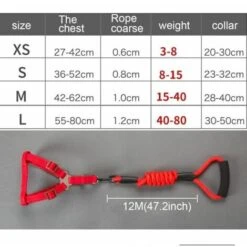 None Cinturino Per Collare Per Cani Blu 3 Pezzi 8 None Cinturino Per Collare Per Cani Blu 3 Pezzi -Cibi per cani in Italia 92960260 3