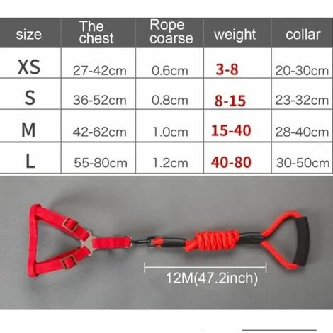 None Cinturino Per Collare Per Cani Blu 3 Pezzi 5 None Cinturino Per Collare Per Cani Blu 3 Pezzi - immagine 3