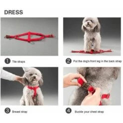 None Cinturino Per Collare Per Cani Blu 3 Pezzi 9 None Cinturino Per Collare Per Cani Blu 3 Pezzi -Cibi per cani in Italia 92960260 4