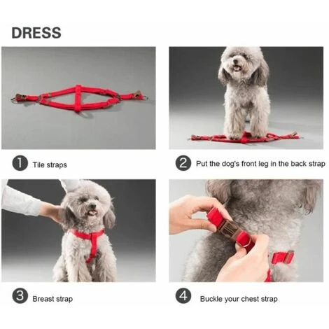 None Cinturino Per Collare Per Cani Blu 3 Pezzi 6 None Cinturino Per Collare Per Cani Blu 3 Pezzi - immagine 4