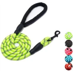 None Guinzaglio Per Cani Verde Fluorescente 2m -Cibi per cani in Italia 92975357 4