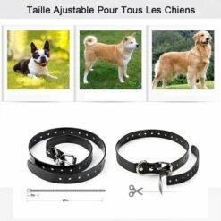 Collare Da Addestramento Per Cani Da 800 Metri, Collare Per Cani Da Addestramento Remoto Impermeabile Con 99 Livelli Di Urti E Vibrazioni E Luce LED, Ricaricabile (3 Ricevitori) 9 Collare Da Addestramento Per Cani Da 800 Metri, Collare Per Cani Da Addestramento Remoto Impermeabile Con 99 Livelli Di Urti E Vibrazioni E Luce LED, Ricaricabile (3 Ricevitori) -Cibi per cani in Italia 93247976 3