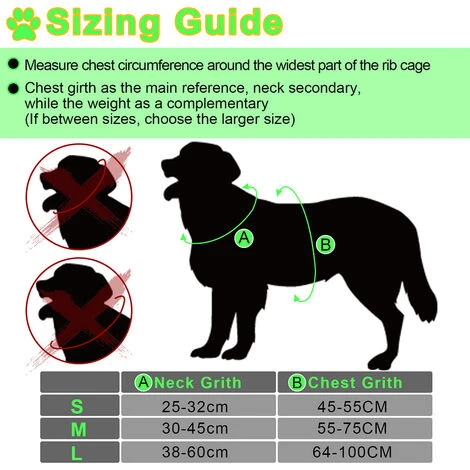 Randaco Imbracatura Per Cani A LED Traspirante Imbracatura Pettorale A LED Modalità Di Illuminazione Riflettente M 5 Randaco Imbracatura Per Cani A LED Traspirante Imbracatura Pettorale A LED Modalità Di Illuminazione Riflettente M - immagine 3