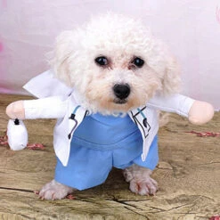 Moda Divertente Pet Dog Cat Upright Clothes Costume Dress Doctor Nurse Princess Cowboy Bachelor Emperor Suit Halloween Party Costumi Cosplay (bianco M) 11 Moda Divertente Pet Dog Cat Upright Clothes Costume Dress Doctor Nurse Princess Cowboy Bachelor Emperor Suit Halloween Party Costumi Cosplay (bianco M) -Cibi per cani in Italia 93427814 5
