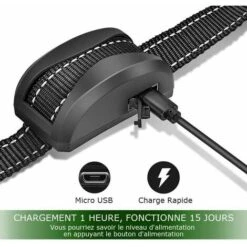 Collare Antiabbaio Per Cani - 3 Modalità Scossa Elettrica/vibrazione/sensibilità Aiuto Automatico Per L'addestramento Innocuo Batteria Ricaricabile IP65 Cinghia Riflettente Regolabile Per Cani Piccoli 9 Collare Antiabbaio Per Cani - 3 Modalità Scossa Elettrica/vibrazione/sensibilità Aiuto Automatico Per L'addestramento Innocuo Batteria Ricaricabile IP65 Cinghia Riflettente Regolabile Per Cani Piccoli -Cibi per cani in Italia 94168233 3