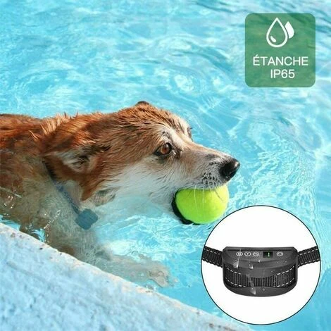 Collare Antiabbaio Per Cani - 3 Modalità Scossa Elettrica/vibrazione/sensibilità Aiuto Automatico Per L'addestramento Innocuo Batteria Ricaricabile IP65 Cinghia Riflettente Regolabile Per Cani Piccoli 6 Collare Antiabbaio Per Cani - 3 Modalità Scossa Elettrica/vibrazione/sensibilità Aiuto Automatico Per L'addestramento Innocuo Batteria Ricaricabile IP65 Cinghia Riflettente Regolabile Per Cani Piccoli - immagine 4