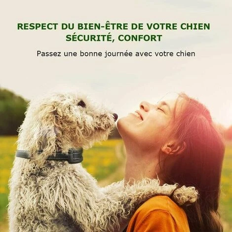 Collare Antiabbaio Per Cani - 3 Modalità Scossa Elettrica/vibrazione/sensibilità Aiuto Automatico Per L'addestramento Innocuo Batteria Ricaricabile IP65 Cinghia Riflettente Regolabile Per Cani Piccoli 7 Collare Antiabbaio Per Cani - 3 Modalità Scossa Elettrica/vibrazione/sensibilità Aiuto Automatico Per L'addestramento Innocuo Batteria Ricaricabile IP65 Cinghia Riflettente Regolabile Per Cani Piccoli - immagine 5