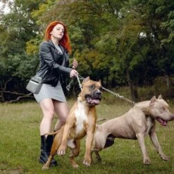 Custodia Per Dolcetti Per Cani, Borsa Da Addestramento Per Cani Con Cinturino In Vita, 3 Modi Per Trasportare, Trasportare Facilmente Giocattoli, Crocchette Ed Effetti Personali -Cibi per cani in Italia 94288129 2