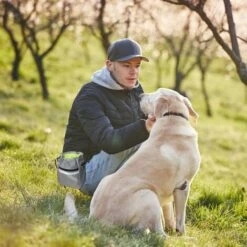 Custodia Per Dolcetti Per Cani, Borsa Da Addestramento Per Cani Con Cinturino In Vita, 3 Modi Per Trasportare, Trasportare Facilmente Giocattoli, Crocchette Ed Effetti Personali -Cibi per cani in Italia 94288129 4