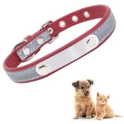 Collare Per Cani Con Targhetta Incisa, Personalizzabile, In Morbida Pelle, Collare Per Cani Con Targhetta Identificativa Individuale, Per Cani Di Taglia Piccola, Media E Grande -Cibi per cani in Italia 94288278 3
