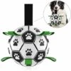 Giocattolo Per Cani, Giocattoli Per Cani Pallone Da Calcio Per Cani Con Linguette, Giocattolo Interattivo -Cibi per cani in Italia 94291069 1