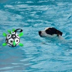 Giocattolo Per Cani, Giocattoli Per Cani Pallone Da Calcio Per Cani Con Linguette, Giocattolo Interattivo -Cibi per cani in Italia 94291069 4