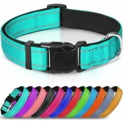 Collare Riflettente Per Cani In Morbido Neoprene Imbottito Traspirante In Nylon Regolabile Per Cani Di Grossa Taglia M
