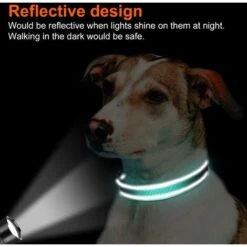 Collare Riflettente Per Cani In Morbido Neoprene Imbottito Traspirante In Nylon Regolabile Per Cani Di Grossa Taglia M -Cibi per cani in Italia 94291499 5