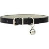CollarDirect Collare Per Gatti In Pelle Con Cintura Di Sicurezza Elastica E Campanello Per Gattini Da Bambina 2 CollarDirect Collare Per Gatti In Pelle Con Cintura Di Sicurezza Elastica E Campanello Per Gattini Da Bambina -Cibi per cani in Italia 94295202 1
