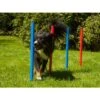 Agility Gioco Slalom Agility Dog Per Cane 12 Paletti 2 Agility Gioco Slalom Agility Dog Per Cane 12 Paletti -Cibi per cani in Italia 9434745 1