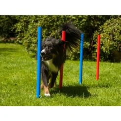 Agility Gioco Slalom Agility Dog Per Cane 12 Paletti