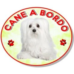 Adesivo Vetrofania Cane A Bordo Cane Maltese