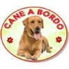 Adesivo Vetrofania Cane A Bordo Cane Labrador -Cibi per cani in Italia 9434929 1