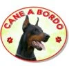 Adesivo Vetrofania Cane A Bordo Cane Dobermann 1 Adesivo Vetrofania Cane A Bordo Cane Dobermann -Cibi per cani in Italia 9434931 1
