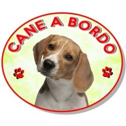 Adesivo Vetrofania Cane A Bordo Beagle