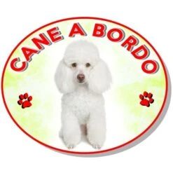 Adesivo Vetrofania Cane A Bordo Barboncino