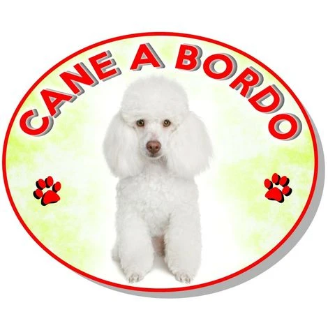 Adesivo Vetrofania Cane A Bordo Barboncino 3 Adesivo Vetrofania Cane A Bordo Barboncino