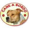 Adesivo Vetrofania Cane A Bordo Pitbull