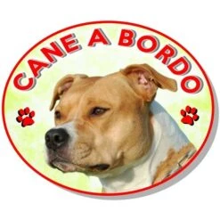Adesivo Vetrofania Cane A Bordo Pitbull