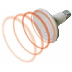 Lampada Rettili Ceramica 150 Watt