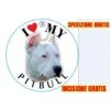Medaglietta Per Cane Pitbull Incisione E Spedizione Gratis -Cibi per cani in Italia 9435021 1