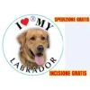Medaglietta Per Cane Labrador Incisione E Spedizione Gratis -Cibi per cani in Italia 9435024 1