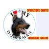Medaglietta Per Cane Doberman Spedizione E Incisione Gratis 1 Medaglietta Per Cane Doberman Spedizione E Incisione Gratis -Cibi per cani in Italia 9435027 1