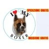 Medaglietta Per Cane Boxer Spedizione E Incisione Gratis -Cibi per cani in Italia 9435028 1