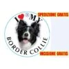 Medaglietta Per Cane Border Collie Spedizione E Incisione Gratis 1 Medaglietta Per Cane Border Collie Spedizione E Incisione Gratis -Cibi per cani in Italia 9435030 1