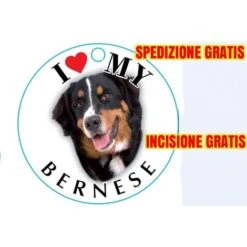 Medaglietta Per Cane Bernese Spedizione Incisione Gratis